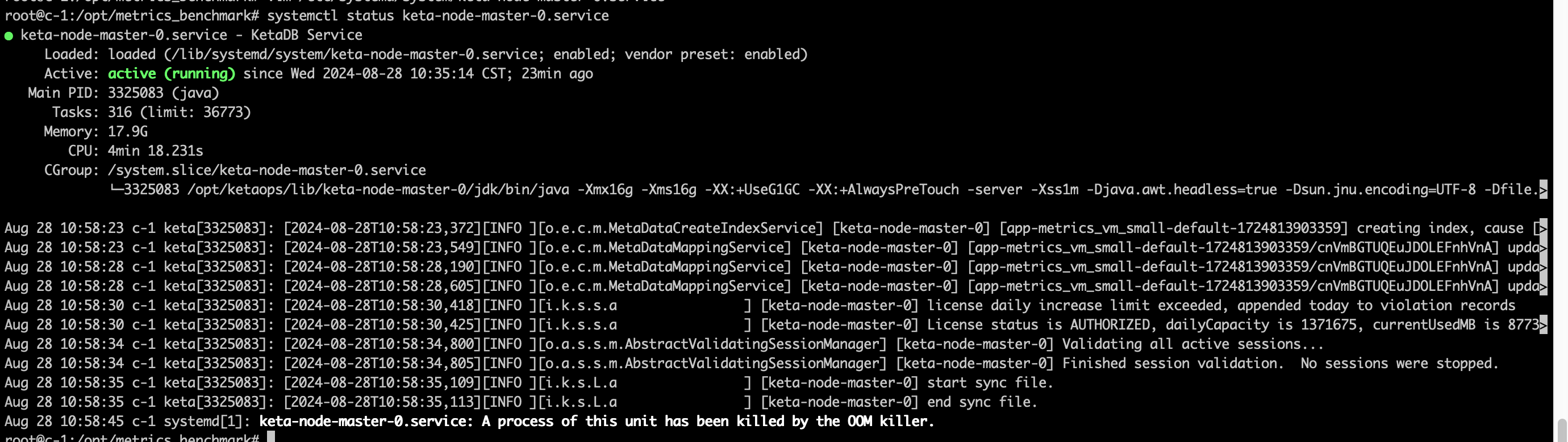 image-20240828105936655